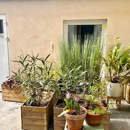 Jolie Mini Maison Lovely Tiny House Apartamento